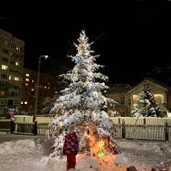 Svētku eglītes izgaismošanas pasākums